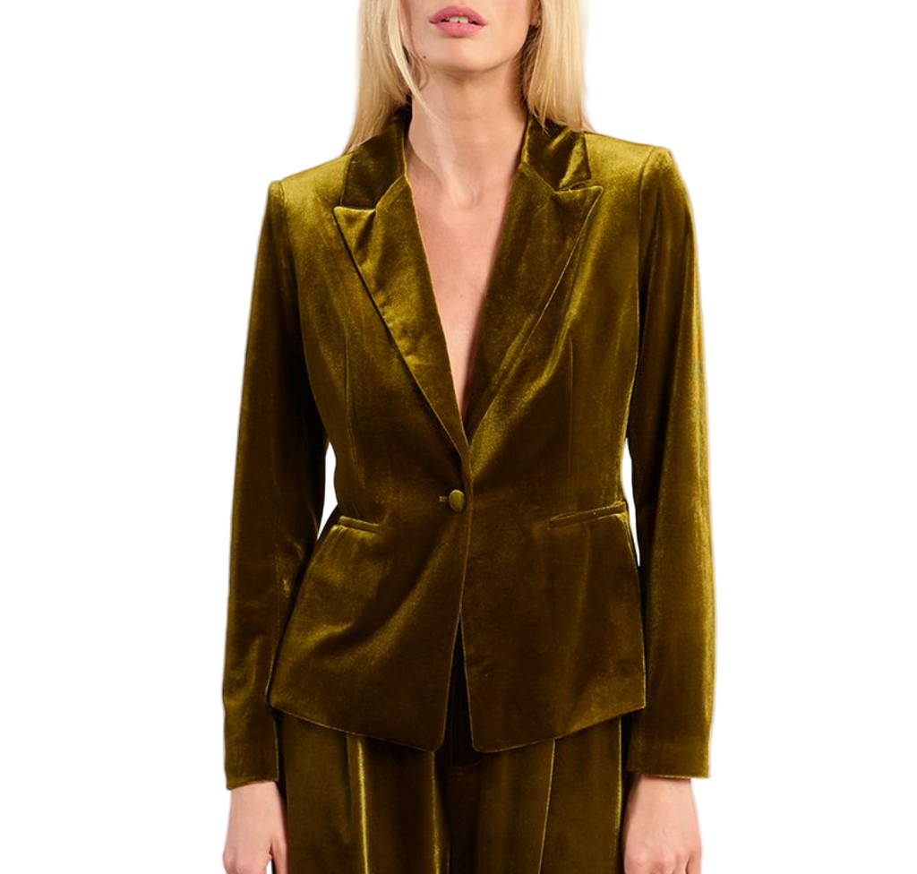 Velvet Blazer